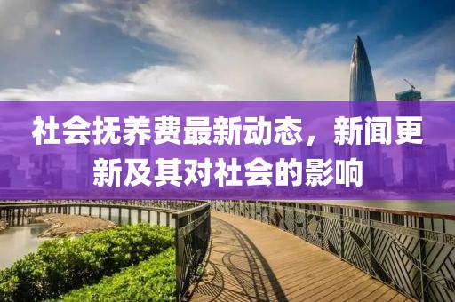 社会抚养费最新动态，新闻更新及其对社会的影响
