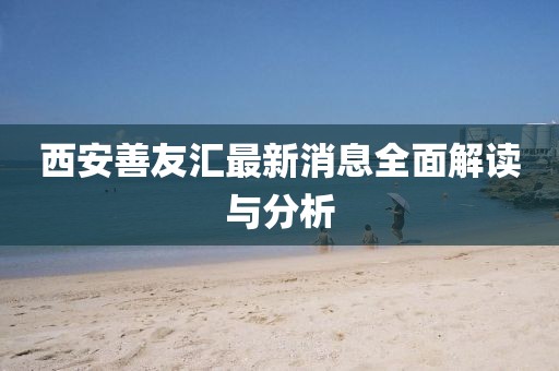 西安善友汇最新消息全面解读与分析