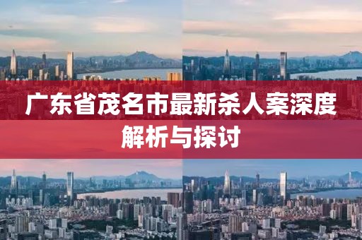 广东省茂名市最新杀人案深度解析与探讨