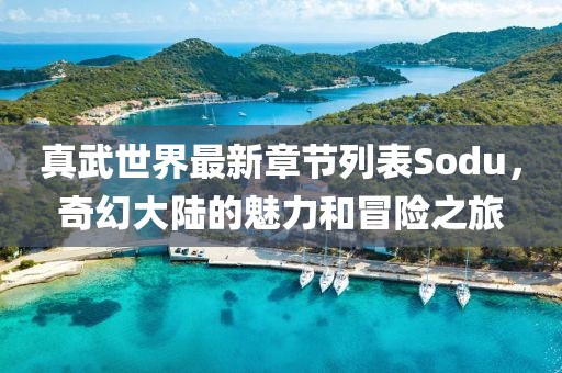 真武世界最新章节列表Sodu，奇幻大陆的魅力和冒险之旅
