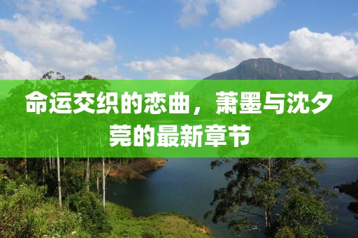 命运交织的恋曲，萧墨与沈夕莞的最新章节