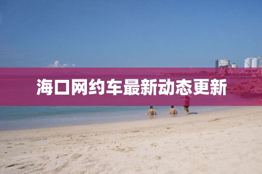 海口网约车最新动态更新