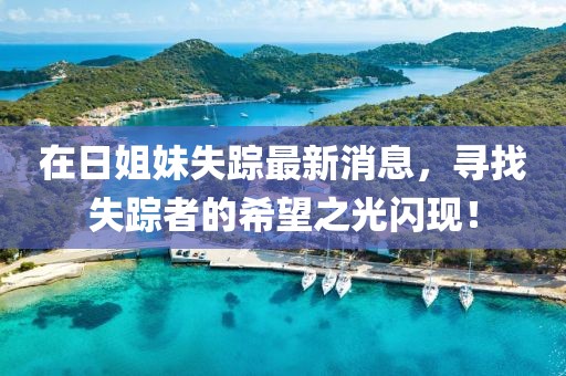 在日姐妹失踪最新消息，寻找失踪者的希望之光闪现！
