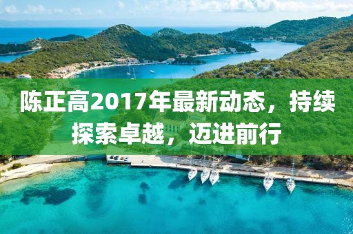陈正高2017年最新动态，持续探索卓越，迈进前行