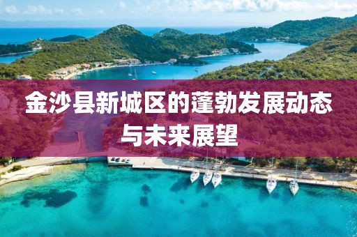 金沙县新城区的蓬勃发展动态与未来展望