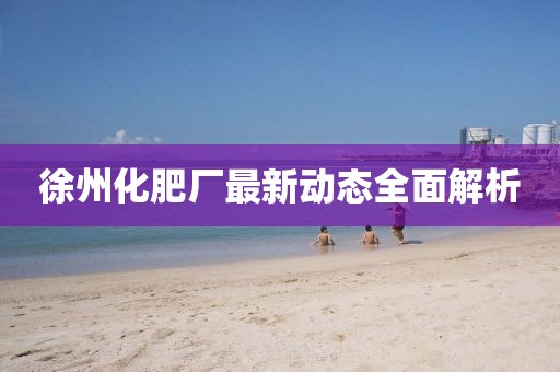 徐州化肥厂最新动态全面解析