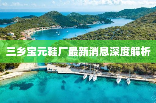 三乡宝元鞋厂最新消息深度解析