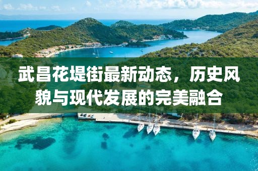 武昌花堤街最新动态，历史风貌与现代发展的完美融合