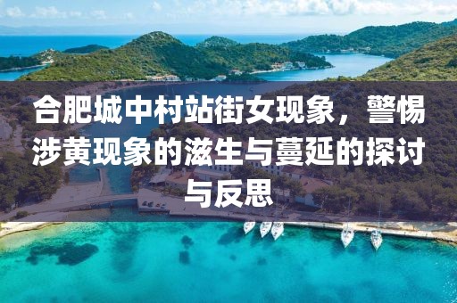 合肥城中村站街女现象，警惕涉黄现象的滋生与蔓延的探讨与反思