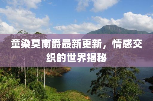 童染莫南爵最新更新，情感交织的世界揭秘