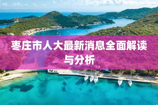 枣庄市人大最新消息全面解读与分析