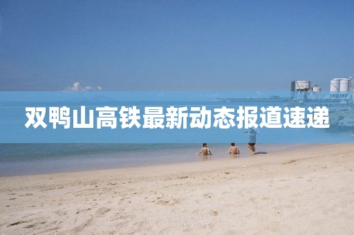 双鸭山高铁最新动态报道速递