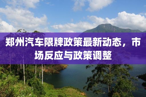 郑州汽车限牌政策最新动态，市场反应与政策调整
