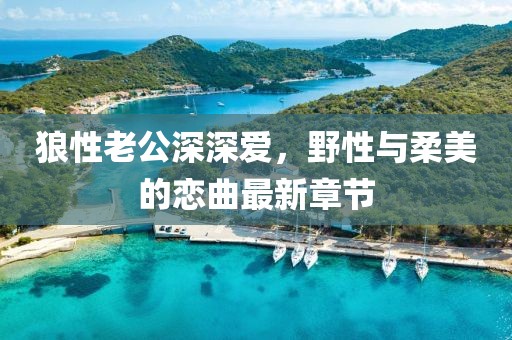 狼性老公深深爱，野性与柔美的恋曲最新章节