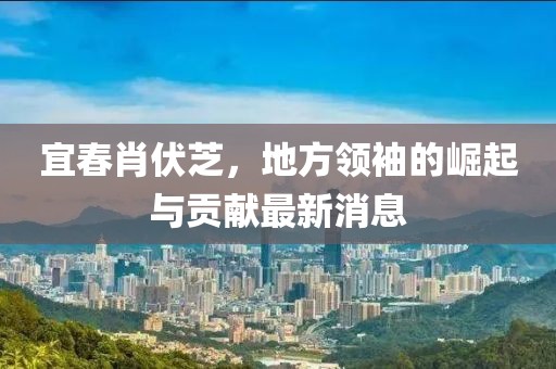 宜春肖伏芝，地方领袖的崛起与贡献最新消息