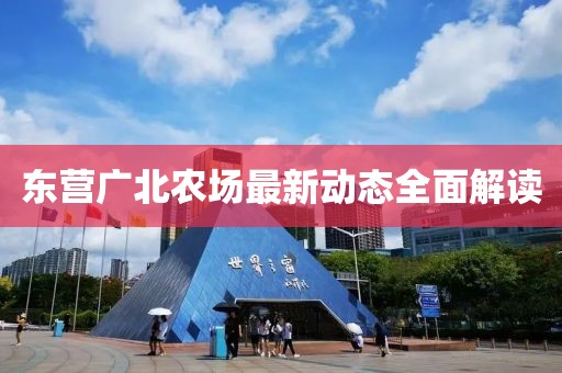 东营广北农场最新动态全面解读