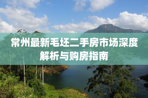 常州最新毛坯二手房市场深度解析与购房指南