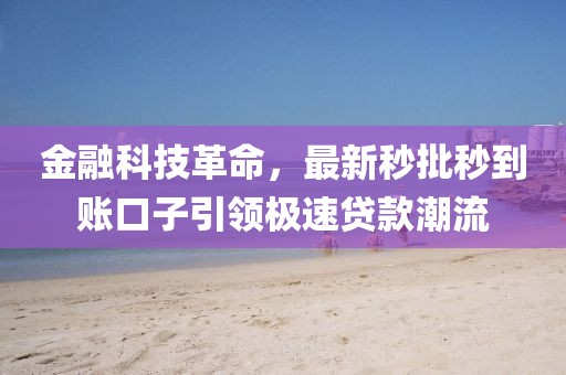 金融科技革命，最新秒批秒到账口子引领极速贷款潮流