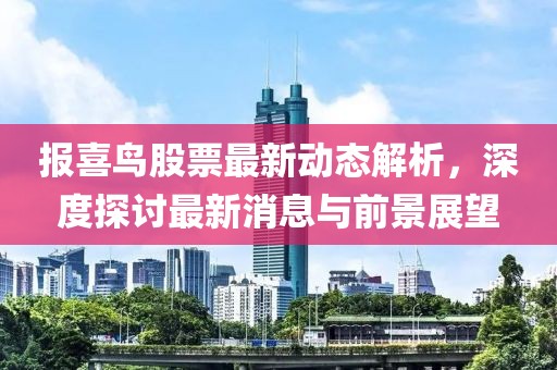 报喜鸟股票最新动态解析，深度探讨最新消息与前景展望