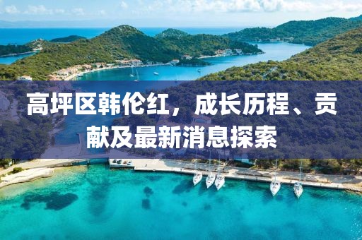 高坪区韩伦红，成长历程、贡献及最新消息探索