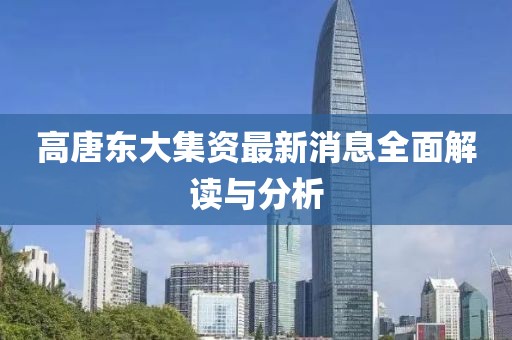 高唐东大集资最新消息全面解读与分析