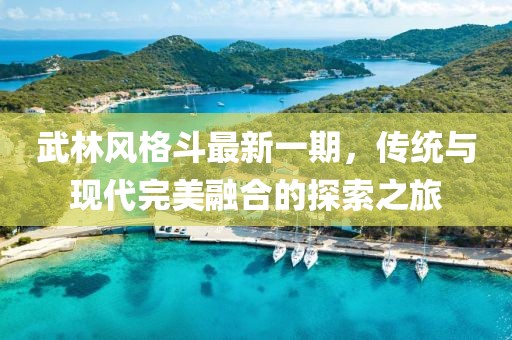 武林风格斗最新一期，传统与现代完美融合的探索之旅