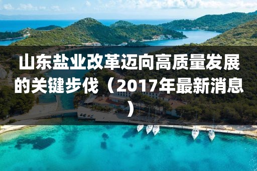 山东盐业改革迈向高质量发展的关键步伐（2017年最新消息）