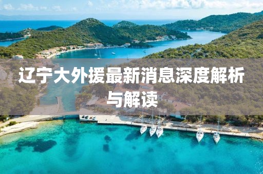 辽宁大外援最新消息深度解析与解读
