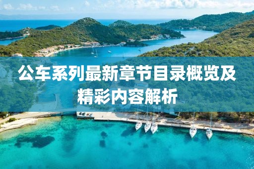 公车系列最新章节目录概览及精彩内容解析