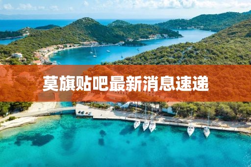 莫旗贴吧最新消息速递