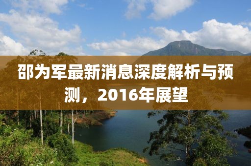 邵为军最新消息深度解析与预测，2016年展望