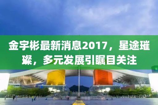 金宇彬最新消息2017，星途璀璨，多元发展引瞩目关注