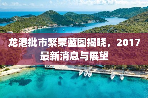 龙港批市繁荣蓝图揭晓，2017最新消息与展望