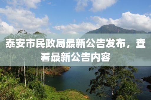 泰安市民政局最新公告发布，查看最新公告内容
