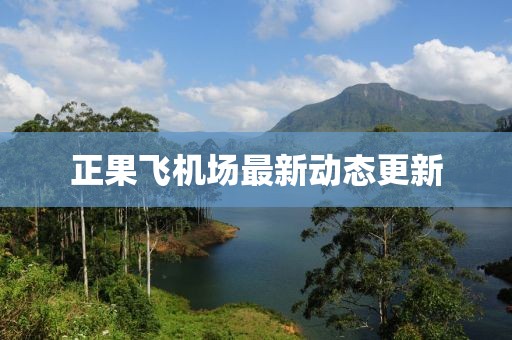 正果飞机场最新动态更新