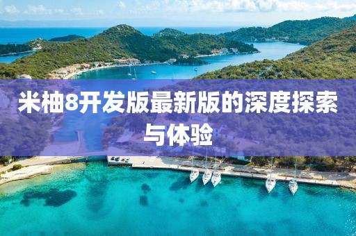 米柚8开发版最新版的深度探索与体验