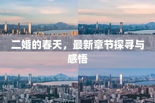 二婚的春天，最新章节探寻与感悟