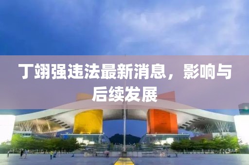 丁翊强违法最新消息，影响与后续发展