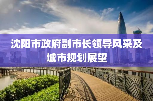沈阳市政府副市长领导风采及城市规划展望