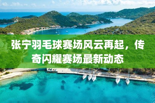 张宁羽毛球赛场风云再起，传奇闪耀赛场最新动态