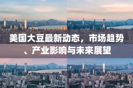 美国大豆最新动态，市场趋势、产业影响与未来展望