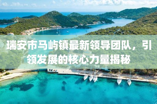 瑞安市马屿镇最新领导团队，引领发展的核心力量揭秘