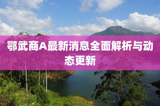 鄂武商A最新消息全面解析与动态更新