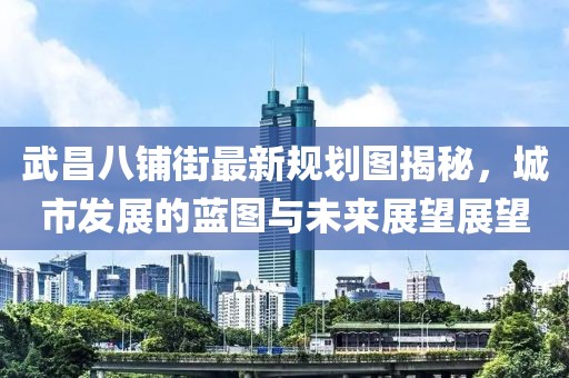 武昌八铺街最新规划图揭秘，城市发展的蓝图与未来展望展望