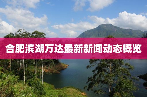 合肥滨湖万达最新新闻动态概览