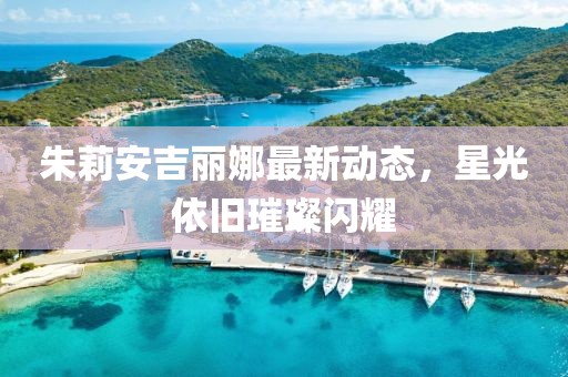 朱莉安吉丽娜最新动态，星光依旧璀璨闪耀