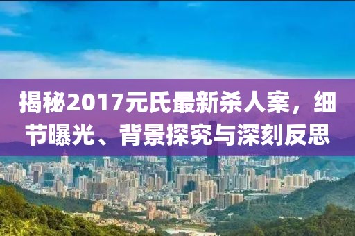 揭秘2017元氏最新杀人案，细节曝光、背景探究与深刻反思