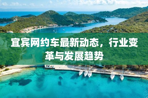 宜宾网约车最新动态，行业变革与发展趋势
