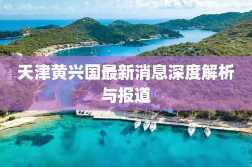 天津黄兴国最新消息深度解析与报道