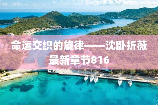 命运交织的旋律——沈卧折薇最新章节816
